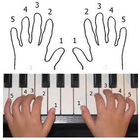 finger piano|piano fingers meaning.